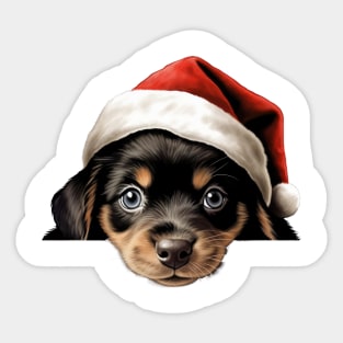 Christmas Peeking Puppy Sticker